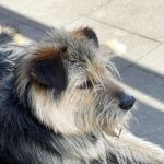 Rudi_IMG-20251206-WA0072