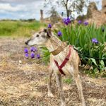 Rufina_2025-04-19 at 14-59-50