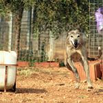Rufina_IMG_6291