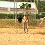 Rufina_IMG_6297