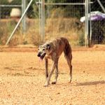 Rufina_IMG_6310