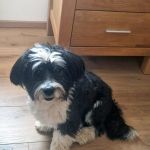 Rufo_2026-03-28-15-50-54