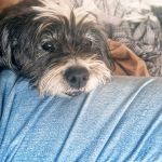 Rufo_2026-03-28-15-50-55