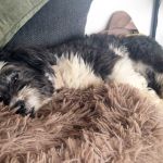 Rufo_2026-03-30-11-52-44