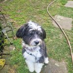 Rufo_2026-03-30-16-29-24