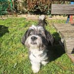 Rufo_2026-03-30-16-29-26