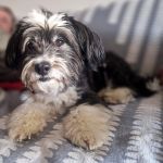 Rufo_2026-03-30-16-29-27