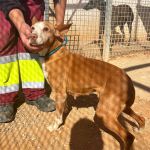 Rumba_IMG_2761