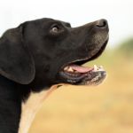 Ruth_IMG_5955