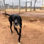 Ruth_IMG_6052