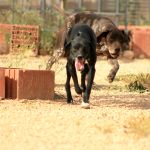 Ruth_Yamal_IMG_5912