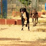 Ruth_Yamal_IMG_5913