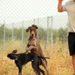 Ruth_Yamal_IMG_5928