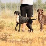 Ruth_Yamal_IMG_5931