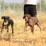 Ruth_Yamal_IMG_5932
