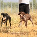 Ruth_Yamal_IMG_5932