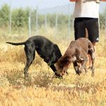 Ruth_Yamal_IMG_5933