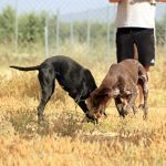 Ruth_Yamal_IMG_5933