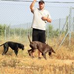 Ruth_Yamal_IMG_5935