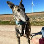 Salma_2026-02-20 at 12-18-04