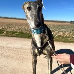 Salma_2026-02-21 at 12-18-04