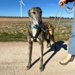 Salma_2026-02-22 at 12-18-04