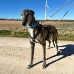 Salma_2026-02-23 at 12-18-04