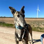 Salma_2026-02-24 at 12-18-04