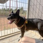Sami_IMG_3045