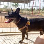 Sami_IMG_3046