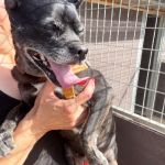Sami_IMG_3052