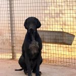 Samuel_19-38-43