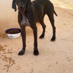 Samuel_image05