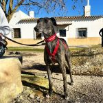 Santa_2026-02-22 at 12-18-48