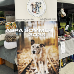 Sommerfest_26_2026-06-07-13h54m31s388