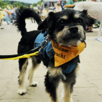Sommerfest_26_2026-06-07-13h58m41s501