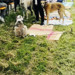 Sommerfest_26_2026-06-07-13h59m49s360