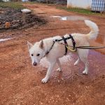 Sonic_IMG_20260315_120817_edit_808567266789523