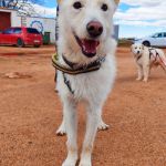 Sonic_IMG_20260315_121052_1_edit_808316604698265