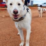 Sonic_IMG_20260315_121052_edit_808329337944822