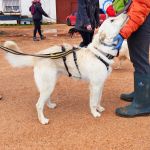 Sonic_IMG_20260315_121123_1_edit_808272207973802