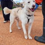 Sonic_IMG_20260315_121127_1