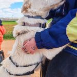 Sonic_IMG_20260315_121202