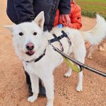 Sonic_IMG_20260315_121245