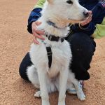 Sonic_IMG_20260315_121416_edit_802120480106930