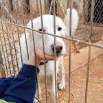 Sonic_IMG_20260315_135500