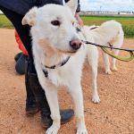 Sonic_MG_20260315_121241