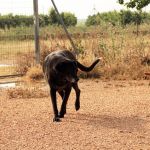 Stella_IMG_6244