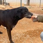 stella_IMG_7723