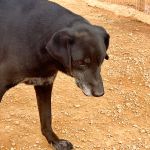 stella_IMG_7738